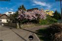 Dateiname=NatureSeasons_2019_022.jpg
Dateigröße=415KB
Abmessungen: 1349x900
hinzugefügt am: 14. Januar 2020 NatureSeasons_2019_022.jpg