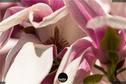 Dateiname=NatureSeasons_2019_024.jpg
Dateigröße=120KB
Abmessungen: 1349x900
hinzugefügt am: 14. Januar 2020 NatureSeasons_2019_024.jpg