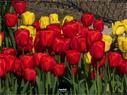 Dateiname=NatureSeasons_2019_028.jpg
Dateigröße=210KB
Abmessungen: 1199x900
hinzugefügt am: 14. Januar 2020 NatureSeasons_2019_028.jpg