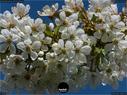 Dateiname=NatureSeasons_2019_029.jpg
Dateigröße=249KB
Abmessungen: 1199x900
hinzugefügt am: 14. Januar 2020 NatureSeasons_2019_029.jpg
