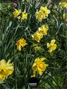 Dateiname=NatureSeasons_2019_030.jpg
Dateigröße=234KB
Abmessungen: 676x900
hinzugefügt am: 14. Januar 2020 NatureSeasons_2019_030.jpg