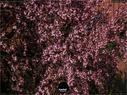Dateiname=NatureSeasons_2019_032.jpg
Dateigröße=410KB
Abmessungen: 1199x900
hinzugefügt am: 14. Januar 2020 NatureSeasons_2019_032.jpg