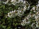 Dateiname=NatureSeasons_2019_035.jpg
Dateigröße=271KB
Abmessungen: 1199x900
hinzugefügt am: 14. Januar 2020 NatureSeasons_2019_035.jpg