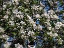 Dateiname=NatureSeasons_2019_039.jpg
Dateigröße=355KB
Abmessungen: 1199x900
hinzugefügt am: 14. Januar 2020 NatureSeasons_2019_039.jpg