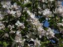 Dateiname=NatureSeasons_2019_040.jpg
Dateigröße=235KB
Abmessungen: 1199x900
hinzugefügt am: 14. Januar 2020 NatureSeasons_2019_040.jpg
