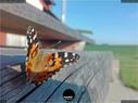 Dateiname=NatureSeasons_2019_042.jpg
Dateigröße=151KB
Abmessungen: 1199x900
hinzugefügt am: 14. Januar 2020 NatureSeasons_2019_042.jpg