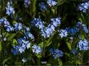 Dateiname=NatureSeasons_2019_044.jpg
Dateigröße=184KB
Abmessungen: 1199x900
hinzugefügt am: 14. Januar 2020 NatureSeasons_2019_044.jpg