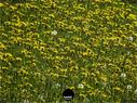 Dateiname=NatureSeasons_2019_046.jpg
Dateigröße=533KB
Abmessungen: 1199x900
hinzugefügt am: 14. Januar 2020 NatureSeasons_2019_046.jpg