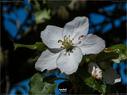 Dateiname=NatureSeasons_2019_049.jpg
Dateigröße=178KB
Abmessungen: 1199x900
hinzugefügt am: 14. Januar 2020 NatureSeasons_2019_049.jpg