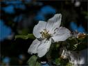 Dateiname=NatureSeasons_2019_050.jpg
Dateigröße=155KB
Abmessungen: 1199x900
hinzugefügt am: 14. Januar 2020 NatureSeasons_2019_050.jpg
