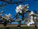 Dateiname=NatureSeasons_2019_052.jpg
Dateigröße=220KB
Abmessungen: 1199x900
hinzugefügt am: 14. Januar 2020 NatureSeasons_2019_052.jpg