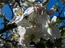 Dateiname=NatureSeasons_2019_053.jpg
Dateigröße=206KB
Abmessungen: 1199x900
hinzugefügt am: 14. Januar 2020 NatureSeasons_2019_053.jpg