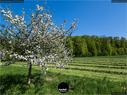 Dateiname=NatureSeasons_2019_057.jpg
Dateigröße=430KB
Abmessungen: 1199x900
hinzugefügt am: 14. Januar 2020 NatureSeasons_2019_057.jpg