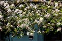 Dateiname=NatureSeasons_2019_073.jpg
Dateigröße=349KB
Abmessungen: 1354x900
hinzugefügt am: 14. Januar 2020 NatureSeasons_2019_073.jpg