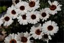 Dateiname=NatureSeasons_2019_074.jpg
Dateigröße=178KB
Abmessungen: 1354x900
hinzugefügt am: 14. Januar 2020 NatureSeasons_2019_074.jpg