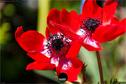 Dateiname=NatureSeasons_2019_075.jpg
Dateigröße=155KB
Abmessungen: 1354x900
hinzugefügt am: 14. Januar 2020 NatureSeasons_2019_075.jpg