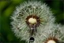 Dateiname=NatureSeasons_2019_077.jpg
Dateigröße=230KB
Abmessungen: 1354x900
hinzugefügt am: 14. Januar 2020 NatureSeasons_2019_077.jpg