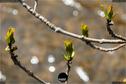 Dateiname=NatureSeasons_2019_079.jpg
Dateigröße=137KB
Abmessungen: 1354x900
hinzugefügt am: 14. Januar 2020 NatureSeasons_2019_079.jpg