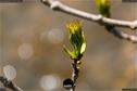 Dateiname=NatureSeasons_2019_080.jpg
Dateigröße=106KB
Abmessungen: 1354x900
hinzugefügt am: 14. Januar 2020 NatureSeasons_2019_080.jpg