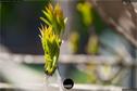 Dateiname=NatureSeasons_2019_082.jpg
Dateigröße=116KB
Abmessungen: 1354x900
hinzugefügt am: 14. Januar 2020 NatureSeasons_2019_082.jpg