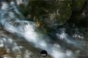 Dateiname=NatureSeasons_2019_084.jpg
Dateigröße=308KB
Abmessungen: 1354x900
hinzugefügt am: 14. Januar 2020 NatureSeasons_2019_084.jpg