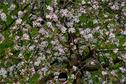 Dateiname=NatureSeasons_2019_085.jpg
Dateigröße=459KB
Abmessungen: 1349x900
hinzugefügt am: 14. Januar 2020 NatureSeasons_2019_085.jpg