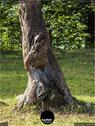 Dateiname=CreuxDuVan19_029.jpg
Dateigröße=241KB
Abmessungen: 676x900
hinzugefügt am: 22. September 2019 CreuxDuVan19_029.jpg