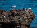 Dateiname=IbizaOnTheRoad_110.jpg
Dateigröße=348KB
Abmessungen: 1199x900
hinzugefügt am: 13. September 2019 IbizaOnTheRoad_110.jpg
