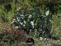 Dateiname=IbizaOnTheRoad_116.jpg
Dateigröße=486KB
Abmessungen: 1199x900
hinzugefügt am: 13. September 2019 IbizaOnTheRoad_116.jpg
