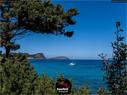 Dateiname=IbizaOnTheRoad_121.jpg
Dateigröße=309KB
Abmessungen: 1199x900
hinzugefügt am: 13. September 2019 IbizaOnTheRoad_121.jpg