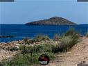 Dateiname=IbizaOnTheRoad_132.jpg
Dateigröße=309KB
Abmessungen: 1199x900
hinzugefügt am: 13. September 2019 IbizaOnTheRoad_132.jpg