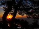 Dateiname=SunrisePuntaCovaBlancaSantaEulaliaIbiza_34.jpg
Dateigröße=220KB
Abmessungen: 1199x900
hinzugefügt am: 31. Juli 2019 SunrisePuntaCovaBlancaSantaEulaliaIbiza_34.jpg