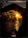 Dateiname=SunrisePuntaCovaBlancaSantaEulaliaIbiza_46.jpg
Dateigröße=128KB
Abmessungen: 676x900
hinzugefügt am: 31. Juli 2019 SunrisePuntaCovaBlancaSantaEulaliaIbiza_46.jpg