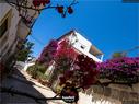 Dateiname=Ibiza_Eivissa_City_132.jpg
Dateigröße=301KB
Abmessungen: 1199x900
hinzugefügt am: 31. Juli 2019 Ibiza_Eivissa_City_132.jpg