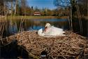 Dateiname=BallyParkSchoenenwerd_141.jpg
Dateigröße=402KB
Abmessungen: 1349x900
hinzugefügt am: 24. Mai 2020 BallyParkSchoenenwerd_141.jpg