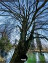 Dateiname=BallyParkSchoenenwerd_159.jpg
Dateigröße=303KB
Abmessungen: 676x900
hinzugefügt am: 24. Mai 2020 BallyParkSchoenenwerd_159.jpg