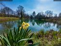Dateiname=BallyParkSchoenenwerd_162.jpg
Dateigröße=346KB
Abmessungen: 1199x900
hinzugefügt am: 24. Mai 2020 BallyParkSchoenenwerd_162.jpg