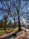 Dateiname=BallyParkSchoenenwerd_181.jpg
Dateigröße=309KB
Abmessungen: 676x900
hinzugefügt am: 24. Mai 2020 BallyParkSchoenenwerd_181.jpg