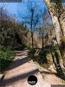 Dateiname=Teufelsschlucht_2020_009.jpg
Dateigröße=287KB
Abmessungen: 676x900
hinzugefügt am: 20. November 2020 Teufelsschlucht_2020_009.jpg