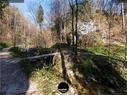 Dateiname=Teufelsschlucht_2020_010.jpg
Dateigröße=515KB
Abmessungen: 1199x900
hinzugefügt am: 20. November 2020 Teufelsschlucht_2020_010.jpg