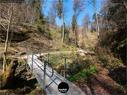 Dateiname=Teufelsschlucht_2020_019.jpg
Dateigröße=510KB
Abmessungen: 1199x900
hinzugefügt am: 20. November 2020 Teufelsschlucht_2020_019.jpg
