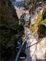 Dateiname=Teufelsschlucht_2020_030.jpg
Dateigröße=224KB
Abmessungen: 676x900
hinzugefügt am: 20. November 2020 Teufelsschlucht_2020_030.jpg