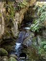 Dateiname=Teufelsschlucht_2020_047.jpg
Dateigröße=252KB
Abmessungen: 676x900
hinzugefügt am: 20. November 2020 Teufelsschlucht_2020_047.jpg