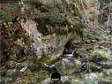 Dateiname=Teufelsschlucht_2020_056.jpg
Dateigröße=486KB
Abmessungen: 1199x900
hinzugefügt am: 20. November 2020 Teufelsschlucht_2020_056.jpg