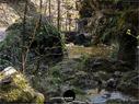Dateiname=Teufelsschlucht_2020_060.jpg
Dateigröße=409KB
Abmessungen: 1199x900
hinzugefügt am: 20. November 2020 Teufelsschlucht_2020_060.jpg