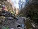 Dateiname=Teufelsschlucht_2020_072.jpg
Dateigröße=457KB
Abmessungen: 1199x900
hinzugefügt am: 20. November 2020 Teufelsschlucht_2020_072.jpg