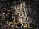 Dateiname=Teufelsschlucht_2020_176.jpg
Dateigröße=345KB
Abmessungen: 1199x900
hinzugefügt am: 20. November 2020 Teufelsschlucht_2020_176.jpg