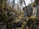Dateiname=Teufelsschlucht_2020_184.jpg
Dateigröße=446KB
Abmessungen: 1199x900
hinzugefügt am: 20. November 2020 Teufelsschlucht_2020_184.jpg