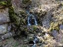 Dateiname=Teufelsschlucht_2020_185.jpg
Dateigröße=460KB
Abmessungen: 1199x900
hinzugefügt am: 20. November 2020 Teufelsschlucht_2020_185.jpg
