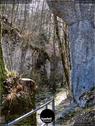 Dateiname=Teufelsschlucht_2020_189.jpg
Dateigröße=284KB
Abmessungen: 676x900
hinzugefügt am: 20. November 2020 Teufelsschlucht_2020_189.jpg